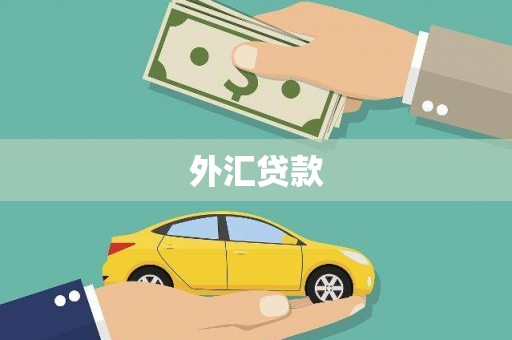 崆峒外汇贷款
