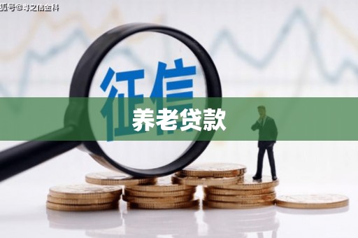 崆峒养老贷款