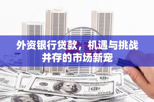 崆峒外资银行贷款，机遇与挑战并存的市场新宠