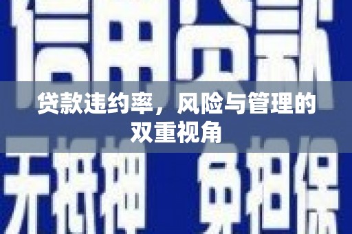 崆峒贷款违约率，风险与管理的双重视角