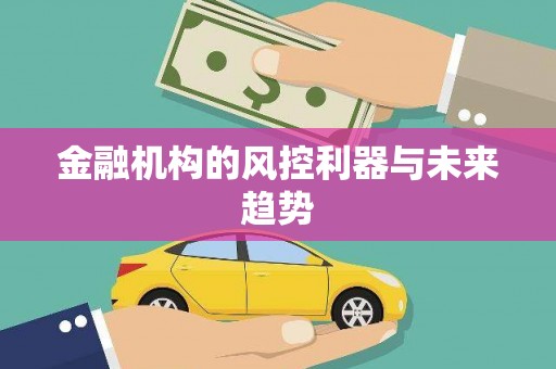 崆峒金融机构的风控利器与未来趋势