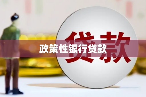 崆峒政策性银行贷款