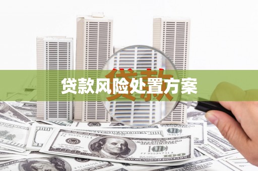 崆峒贷款风险处置方案