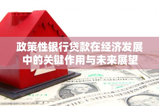 崆峒政策性银行贷款在经济发展中的关键作用与未来展望