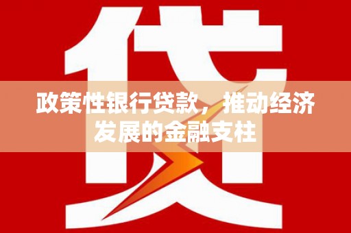 崆峒政策性银行贷款，推动经济发展的金融支柱