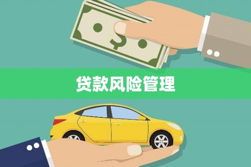 崆峒贷款风险管理