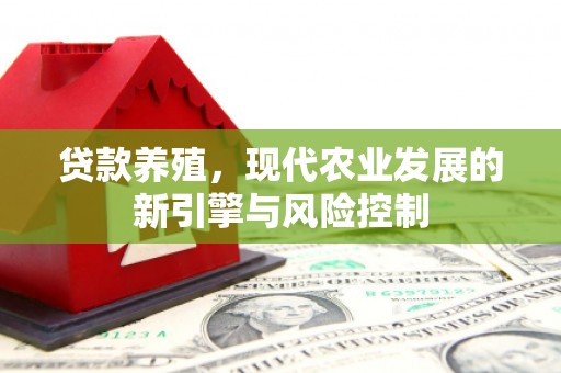 崆峒贷款养殖，现代农业发展的新引擎与风险控制