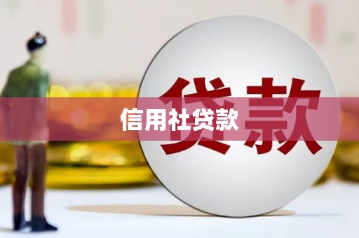 崆峒信用社贷款