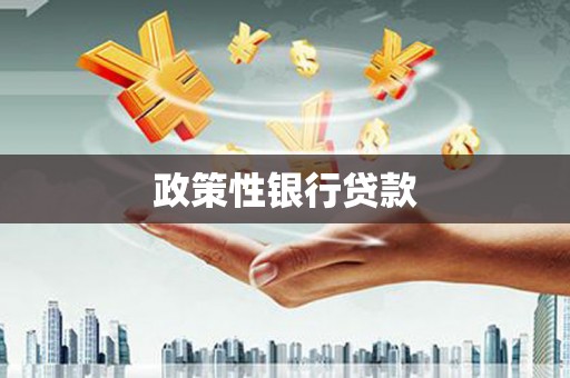 崆峒政策性银行贷款