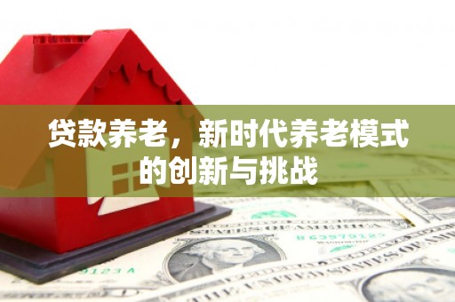 崆峒贷款养老，新时代养老模式的创新与挑战