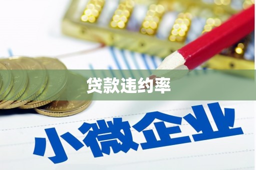 崆峒贷款违约率