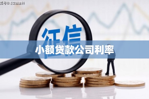 崆峒小额贷款公司利率
