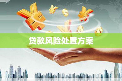 崆峒贷款风险处置方案