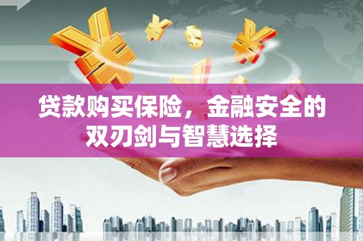 崆峒贷款购买保险，金融安全的双刃剑与智慧选择