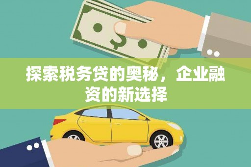 崆峒探索税务贷的奥秘，企业融资的新选择