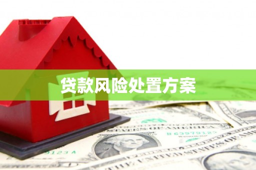 崆峒贷款风险处置方案