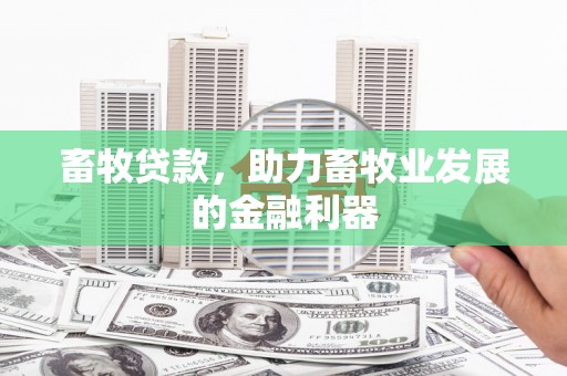 崆峒畜牧贷款，助力畜牧业发展的金融利器