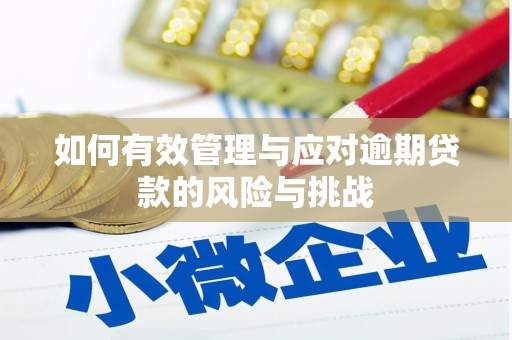 崆峒如何有效管理与应对逾期贷款的风险与挑战