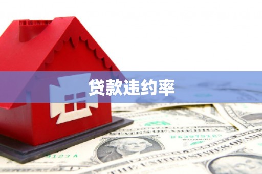 崆峒贷款违约率