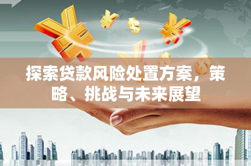 崆峒探索贷款风险处置方案，策略、挑战与未来展望