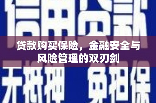 崆峒贷款购买保险，金融安全与风险管理的双刃剑