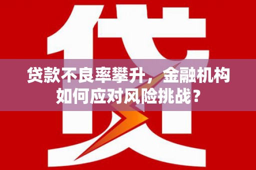 崆峒贷款不良率攀升，金融机构如何应对风险挑战？