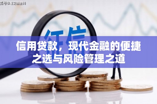 崆峒信用贷款，现代金融的便捷之选与风险管理之道