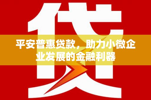 崆峒平安普惠贷款，助力小微企业发展的金融利器