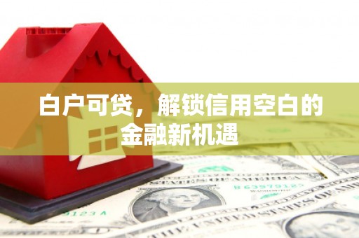 崆峒白户可贷，解锁信用空白的金融新机遇