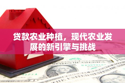 崆峒贷款农业种植，现代农业发展的新引擎与挑战