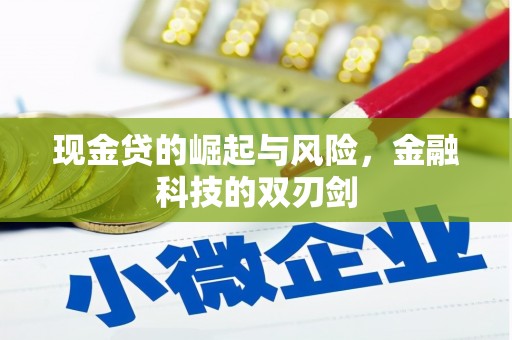 崆峒现金贷的崛起与风险，金融科技的双刃剑