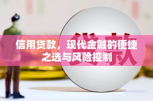 崆峒信用贷款，现代金融的便捷之选与风险控制