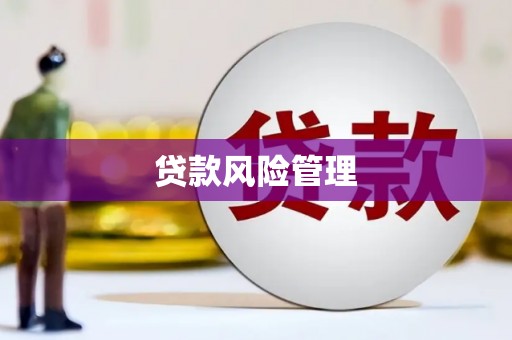 崆峒贷款风险管理