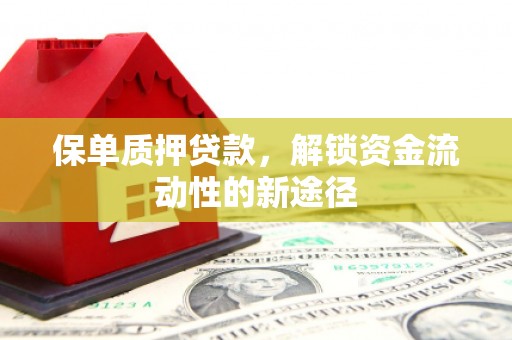 崆峒保单质押贷款，解锁资金流动性的新途径
