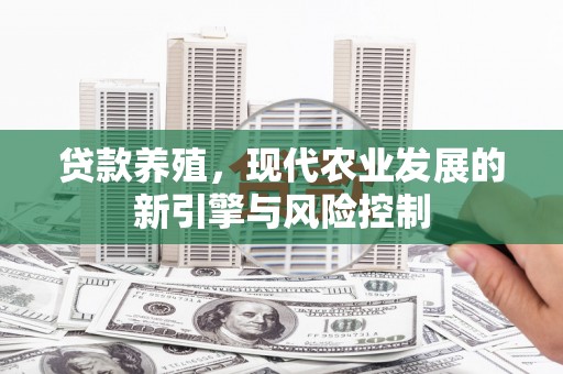 崆峒贷款养殖，现代农业发展的新引擎与风险控制