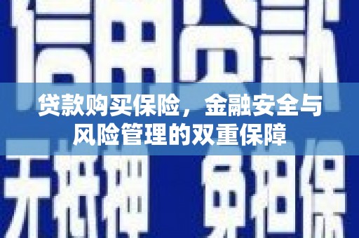 崆峒贷款购买保险，金融安全与风险管理的双重保障