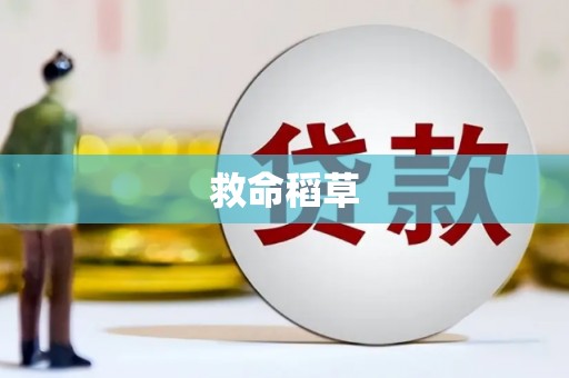 崆峒救命稻草