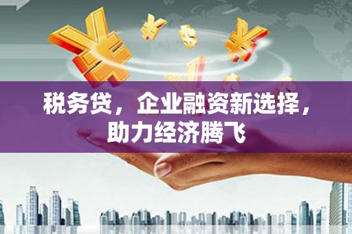 崆峒税务贷，企业融资新选择，助力经济腾飞