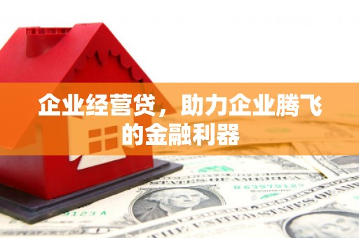 崆峒企业经营贷，助力企业腾飞的金融利器
