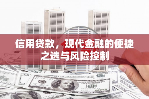 崆峒信用贷款，现代金融的便捷之选与风险控制