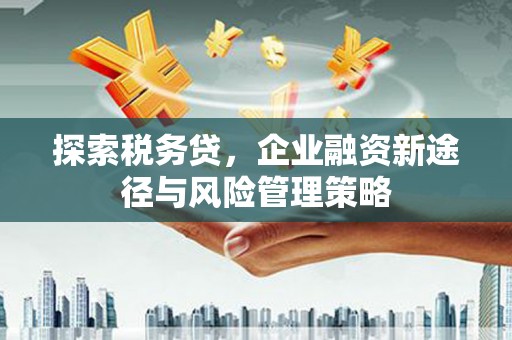 崆峒探索税务贷，企业融资新途径与风险管理策略