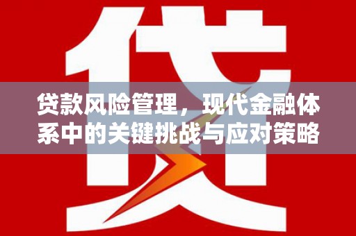 崆峒贷款风险管理，现代金融体系中的关键挑战与应对策略