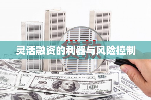 崆峒灵活融资的利器与风险控制