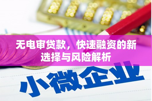 崆峒无电审贷款，快速融资的新选择与风险解析