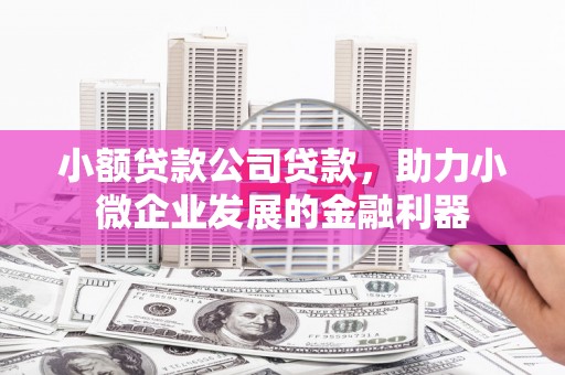 崆峒小额贷款公司贷款，助力小微企业发展的金融利器