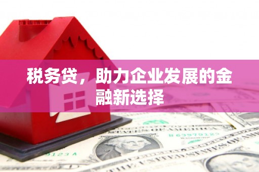 崆峒税务贷，助力企业发展的金融新选择