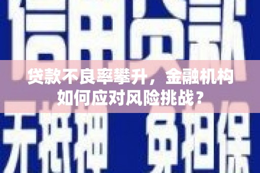 崆峒贷款不良率攀升，金融机构如何应对风险挑战？