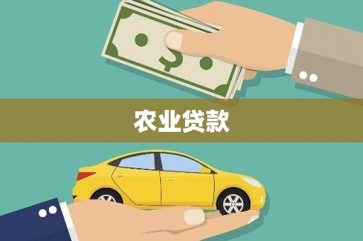 崆峒农业贷款