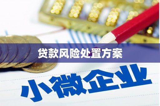 崆峒贷款风险处置方案