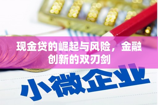 崆峒现金贷的崛起与风险，金融创新的双刃剑